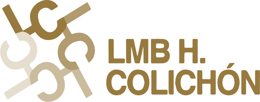 https://laboratorioscolichon.com